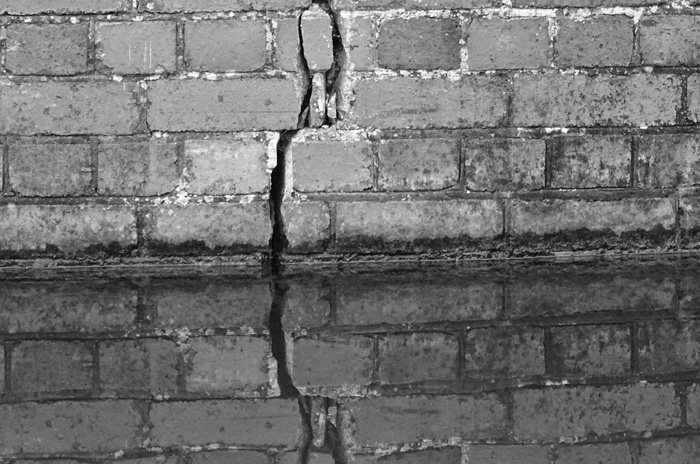 Building Pathology Surveys Northern Ireland